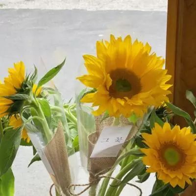 海陆货运一条龙