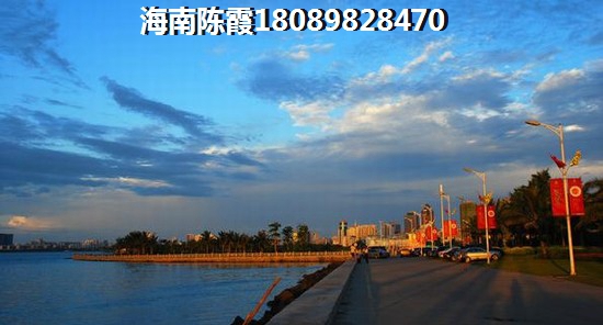 武侯金茂府是哪个开发商