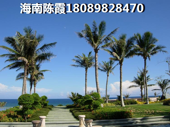华侨凤凰国际城房价上涨态势