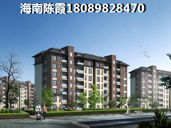 我的大学 一居  户型图