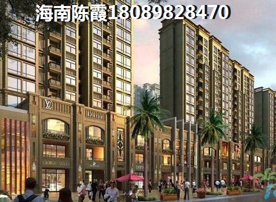 鑫苑名家三期 两居  户型图