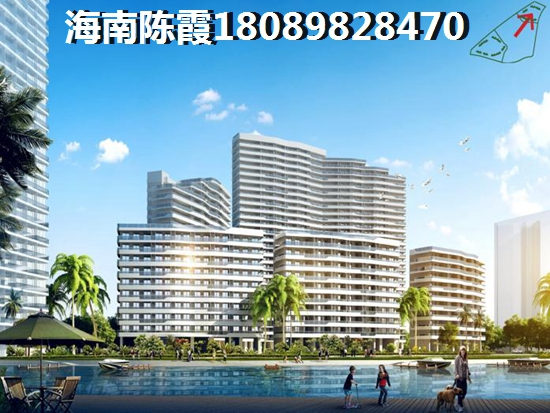 尉洪白兰地 三居  户型图