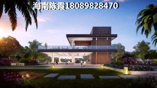 春天国际 两居  户型图