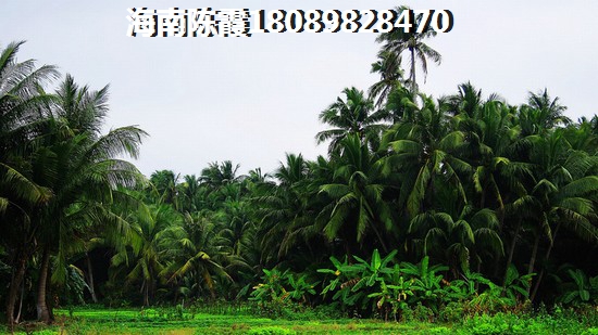 美山居 三居  户型图