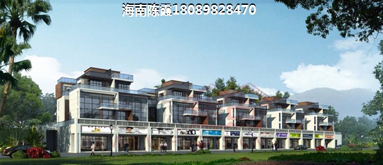 新大托斯卡纳 建筑规划 