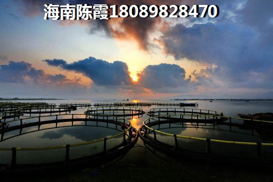 南桥半岛