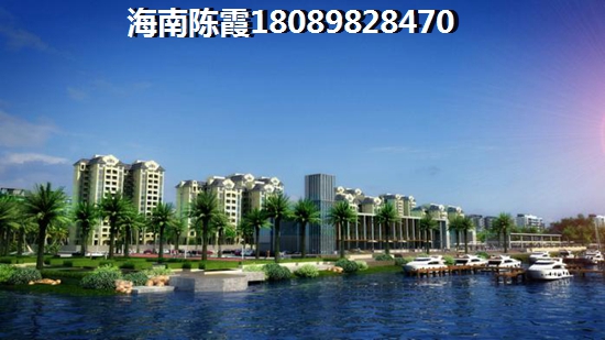 竹林尚书